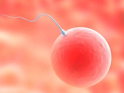 sperma lebensdauer nach der ejakulation